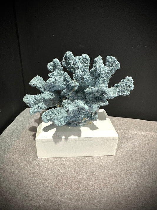 Coral resin specimen with led