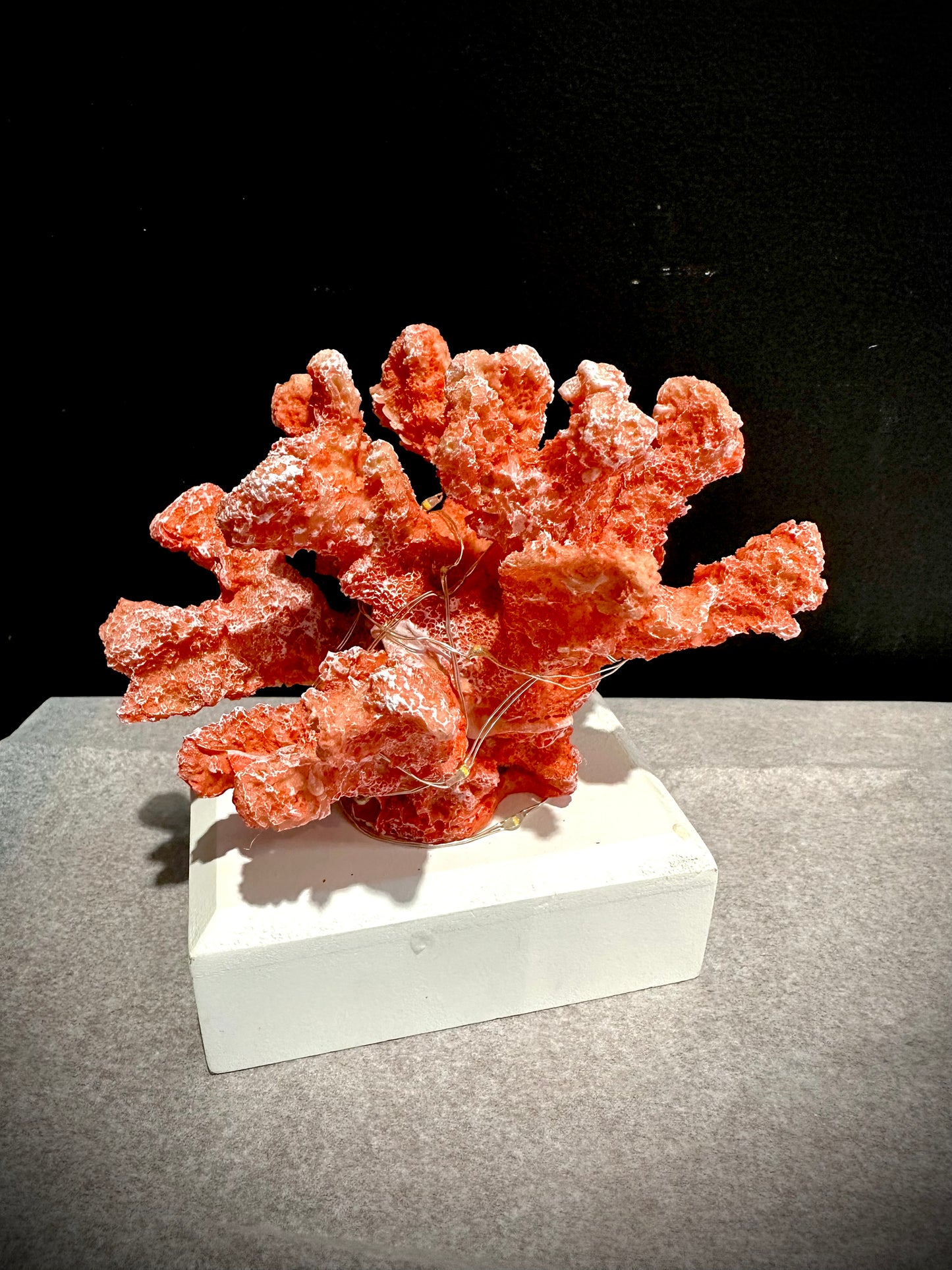 Coral resin specimen with led