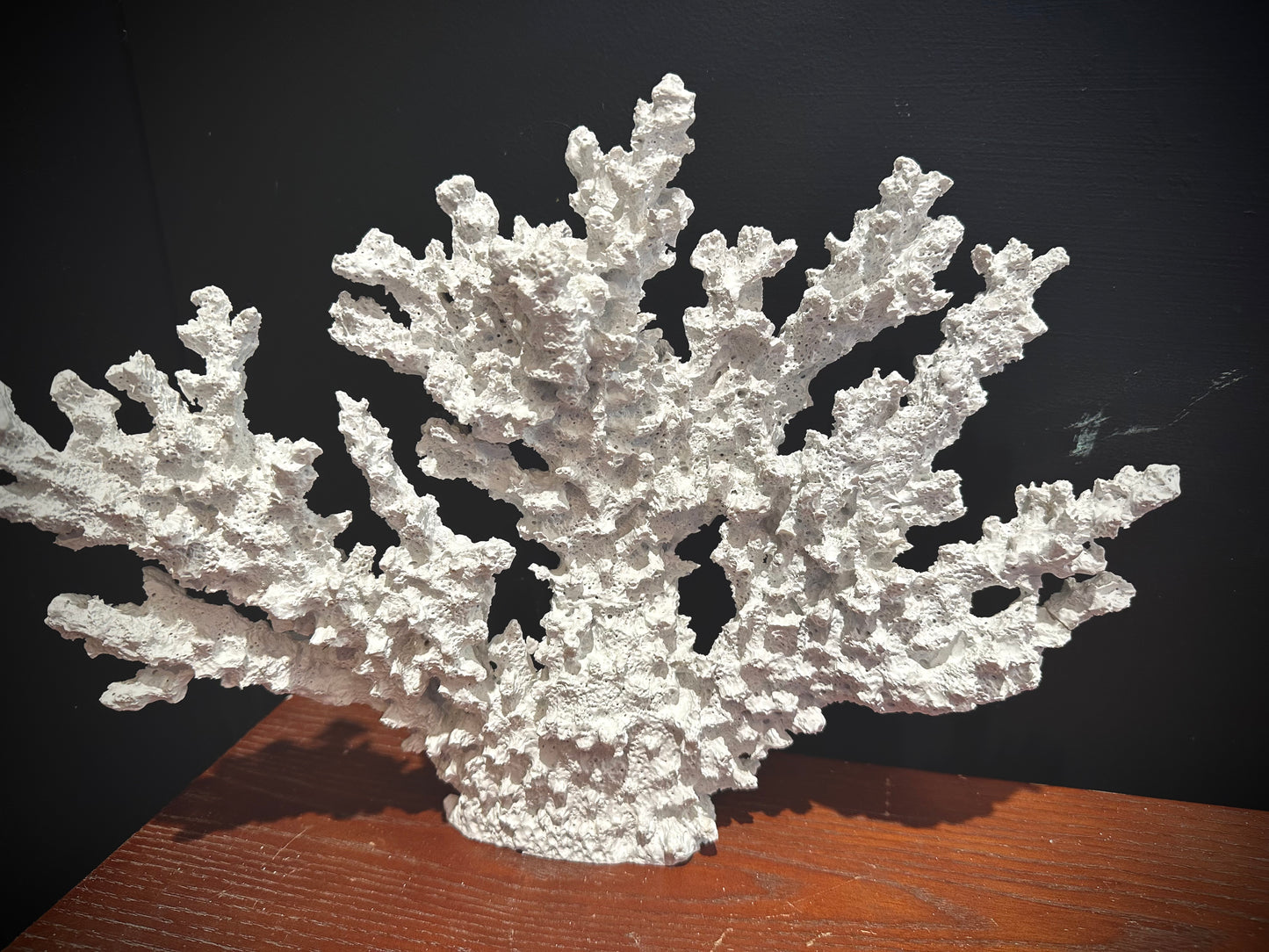 Large resin coral branch