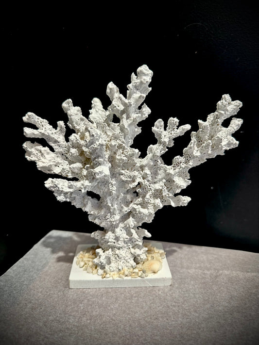 Coral resin specimen
