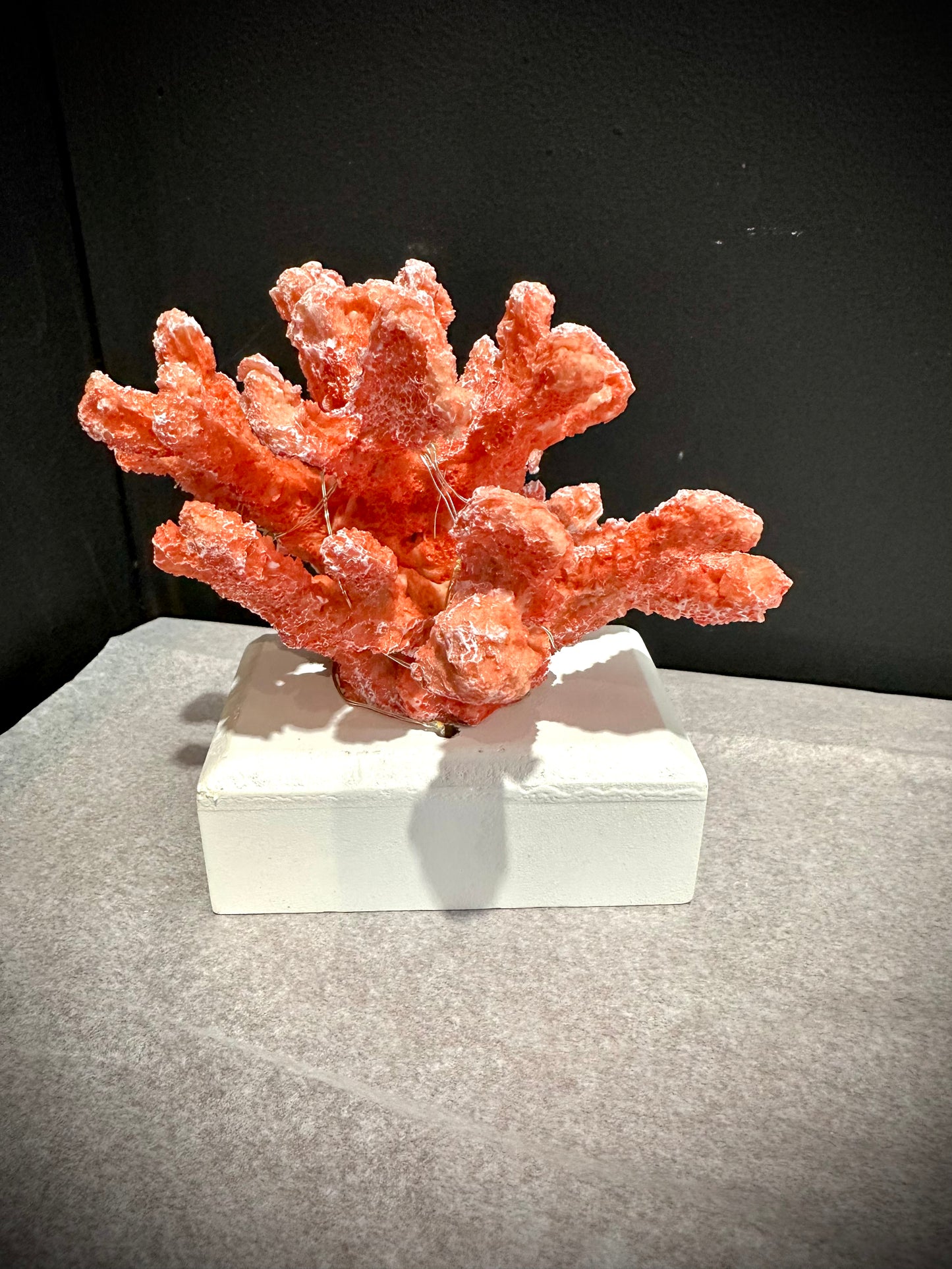 Coral resin specimen with led