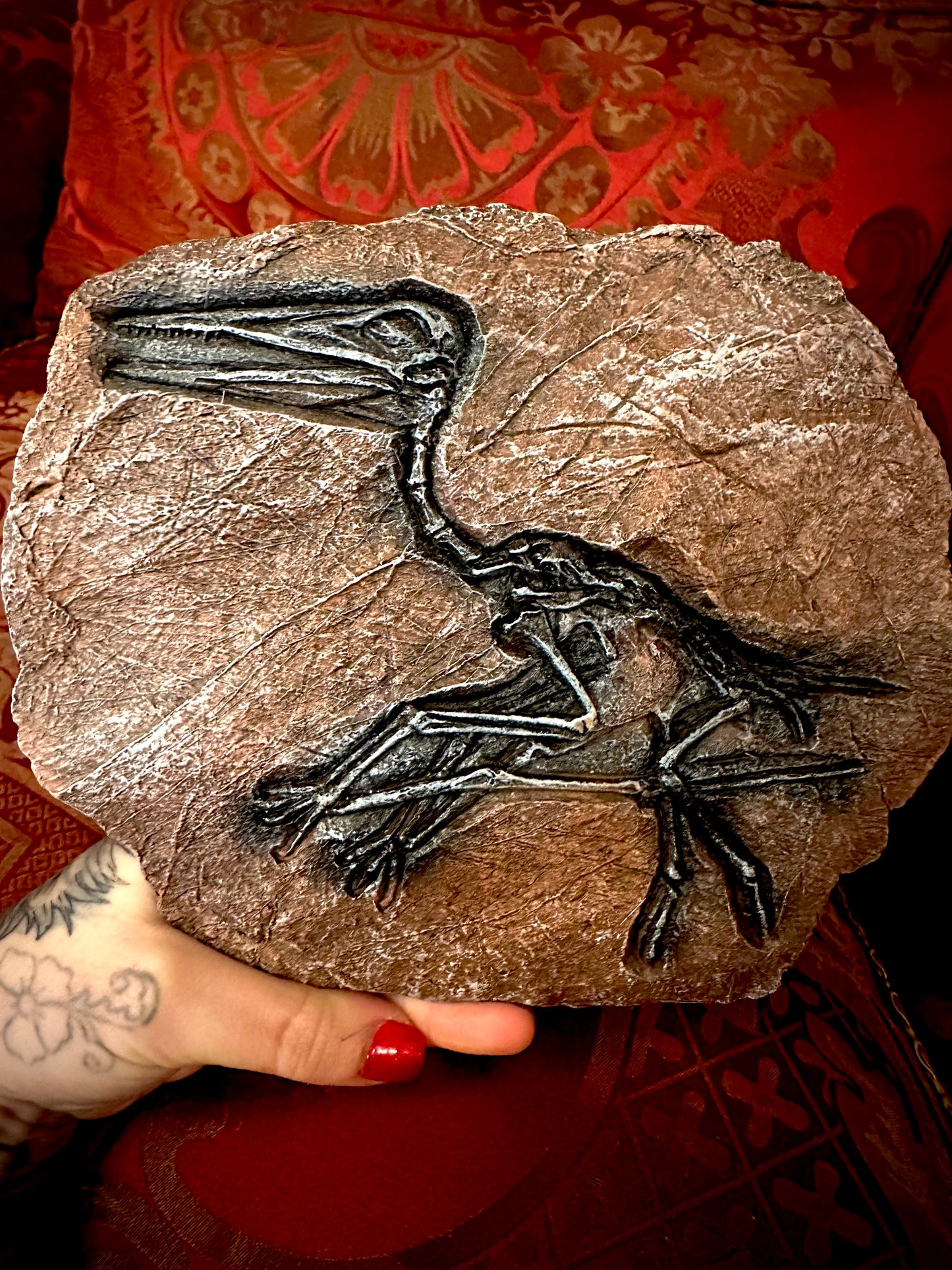 Dinosaur bird skeleton resin replica