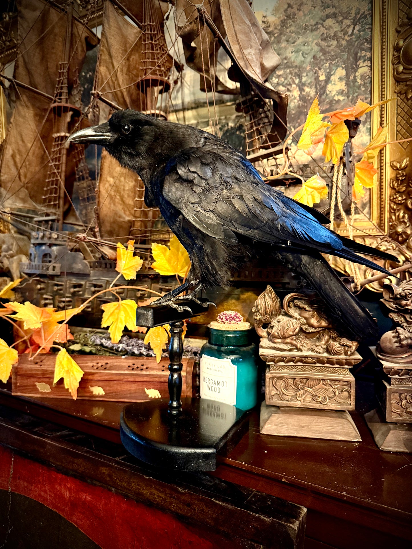 Taxidermy crow