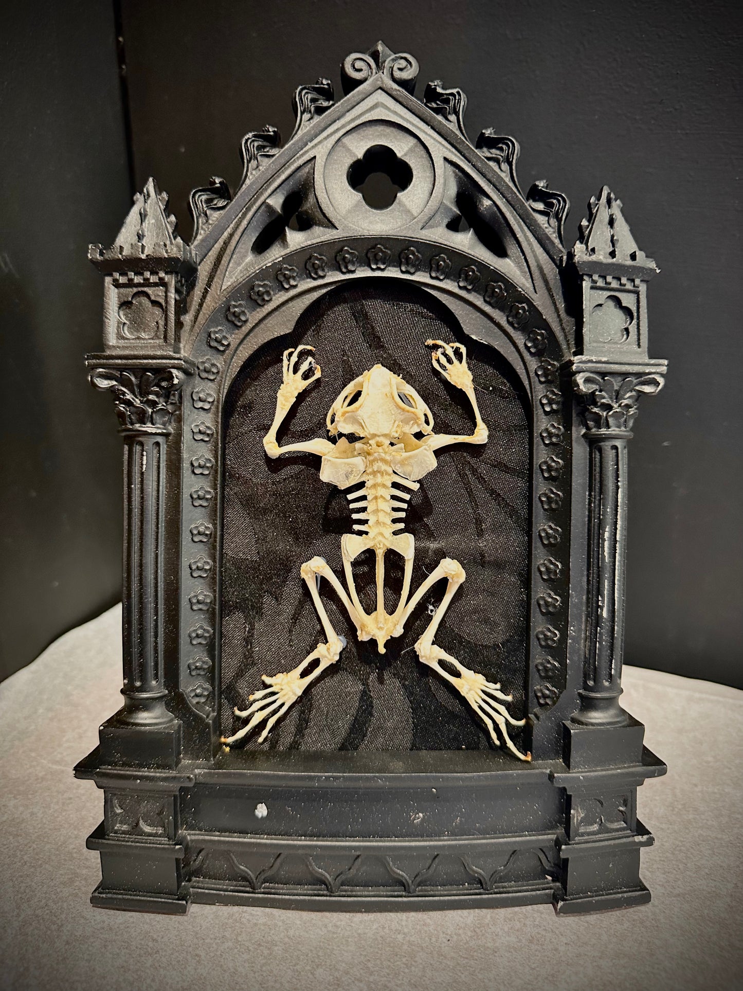 Frog skeleton in church frame