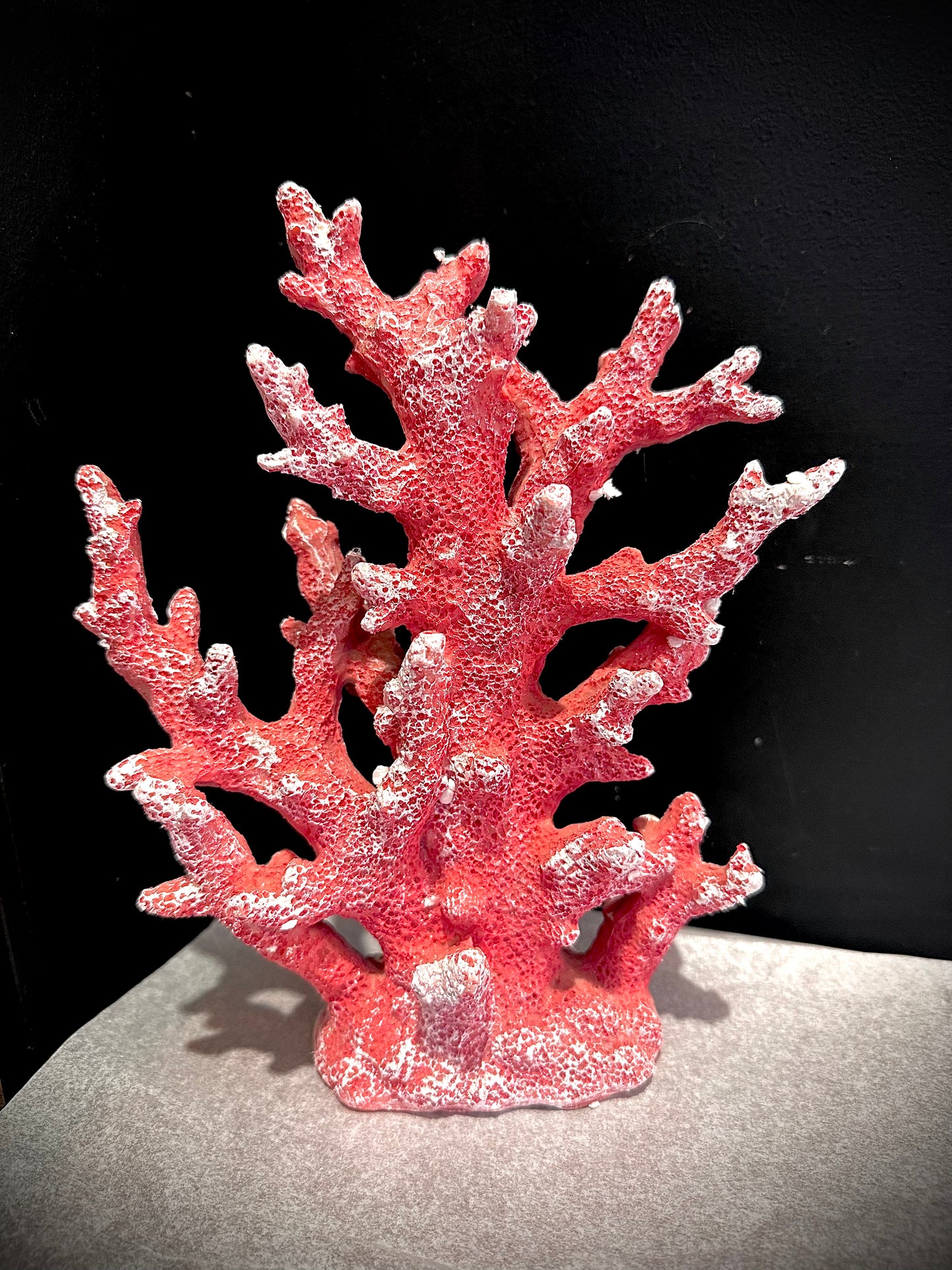 Large resin coral specimen