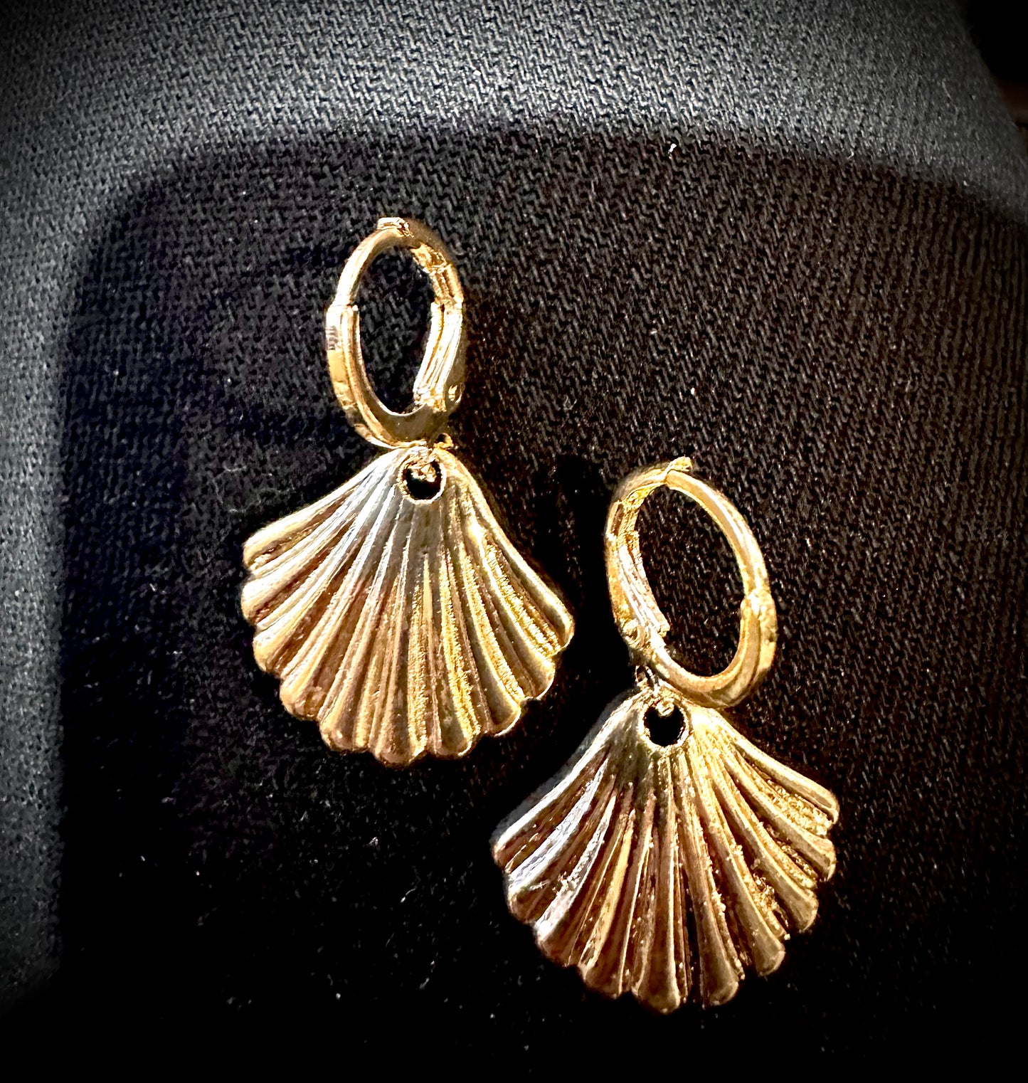 Small shell earrings