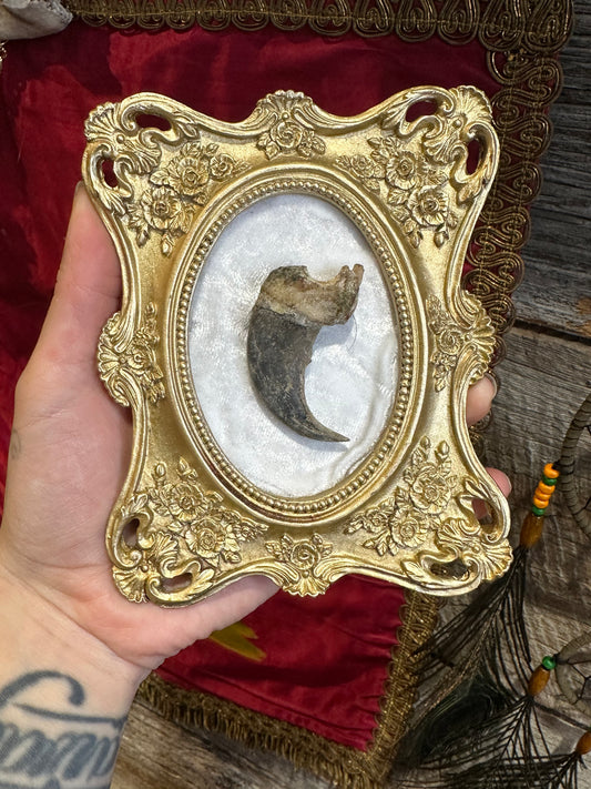 Bear claw frame