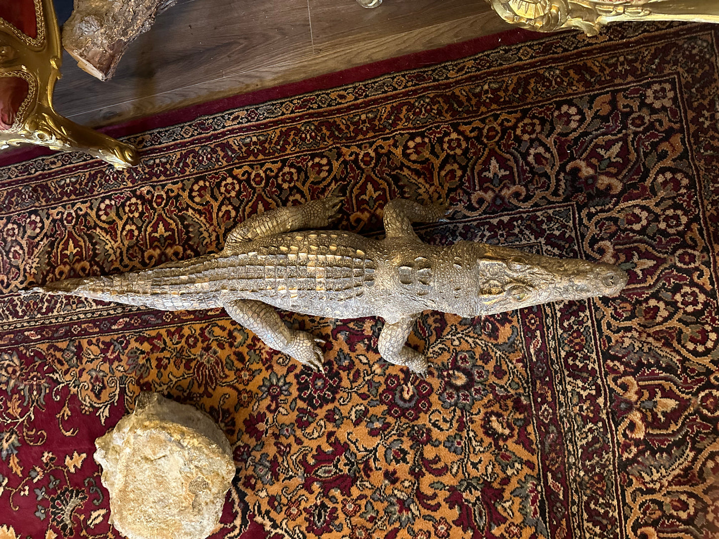 4 ft long crocodile taxidermy