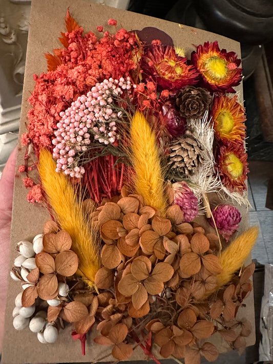 Pack of dried flowers for craft