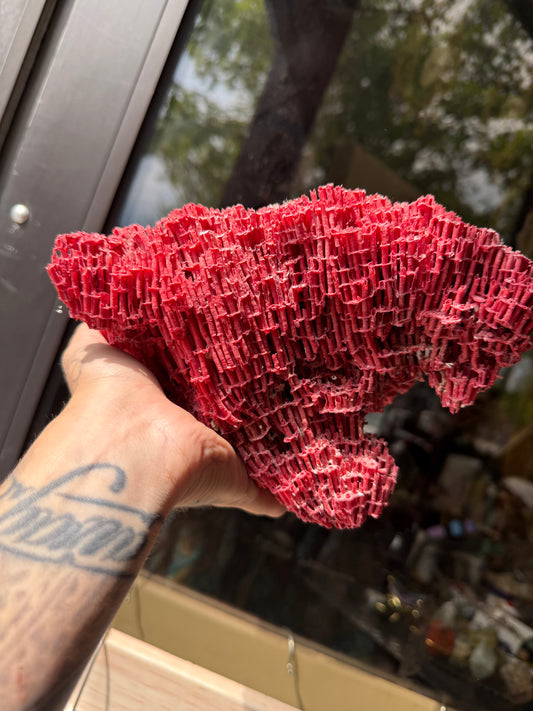 Red Coral piece