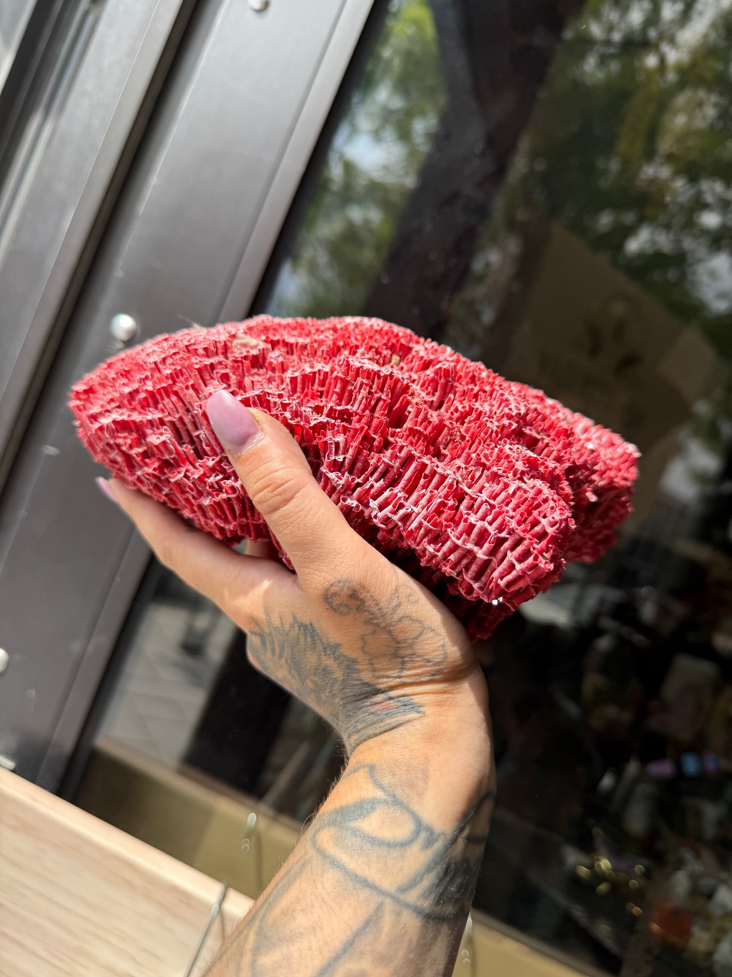 Red Coral piece