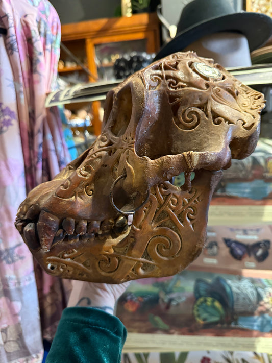 Orang outang skull dayak