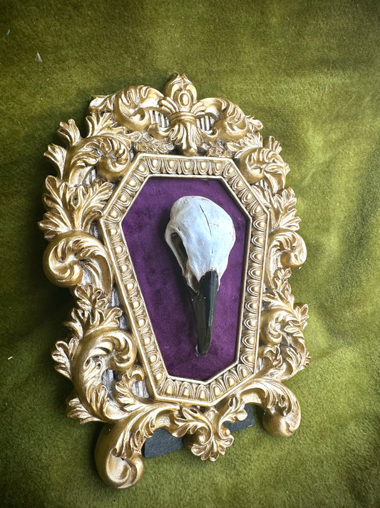 Crow skull cast frame