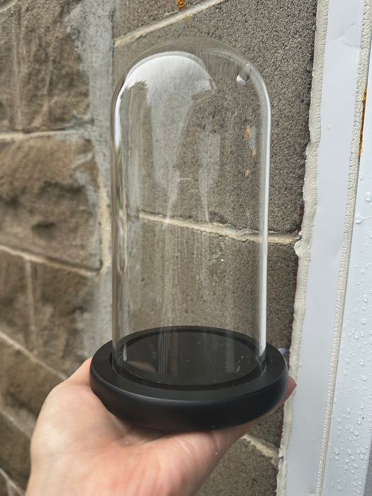 Glass dome 8x3 inch