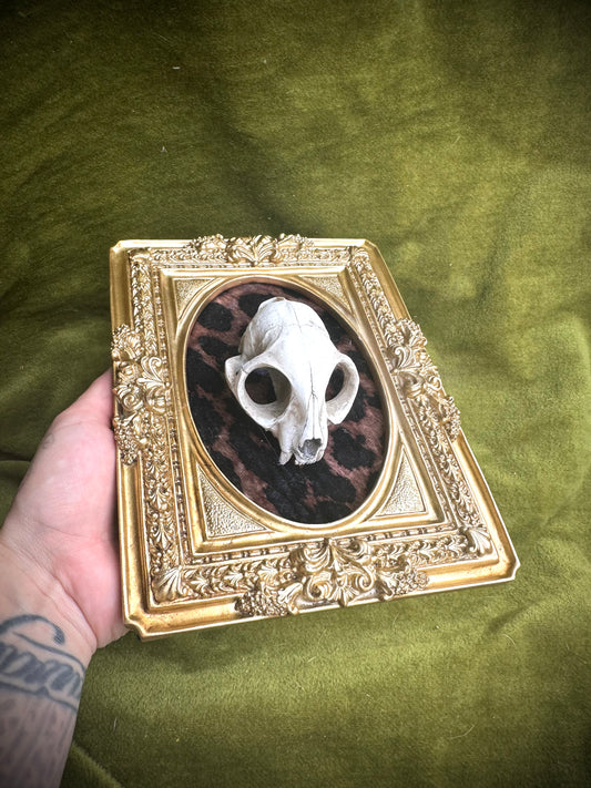 Cat skull cast frame