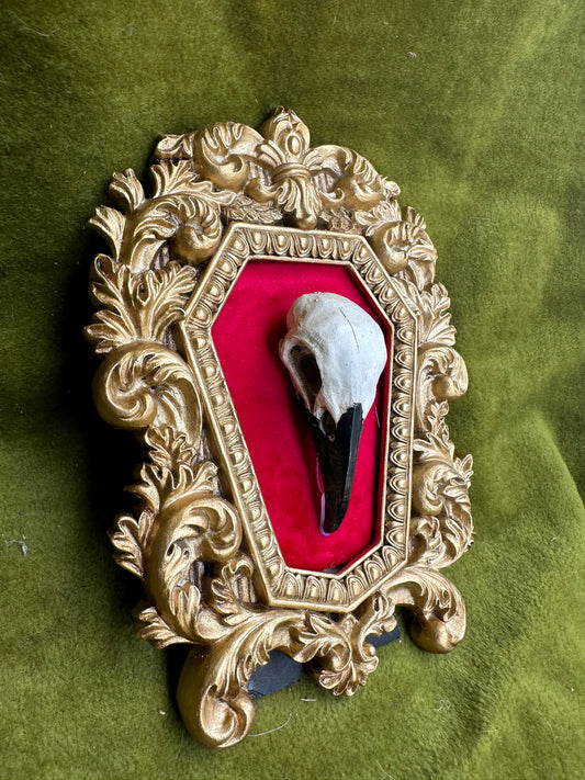 Crow skull cast frame