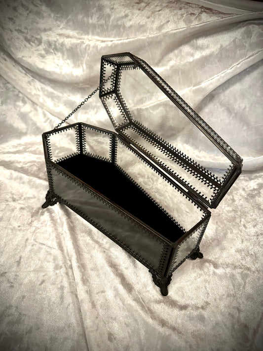 Glass coffin box display