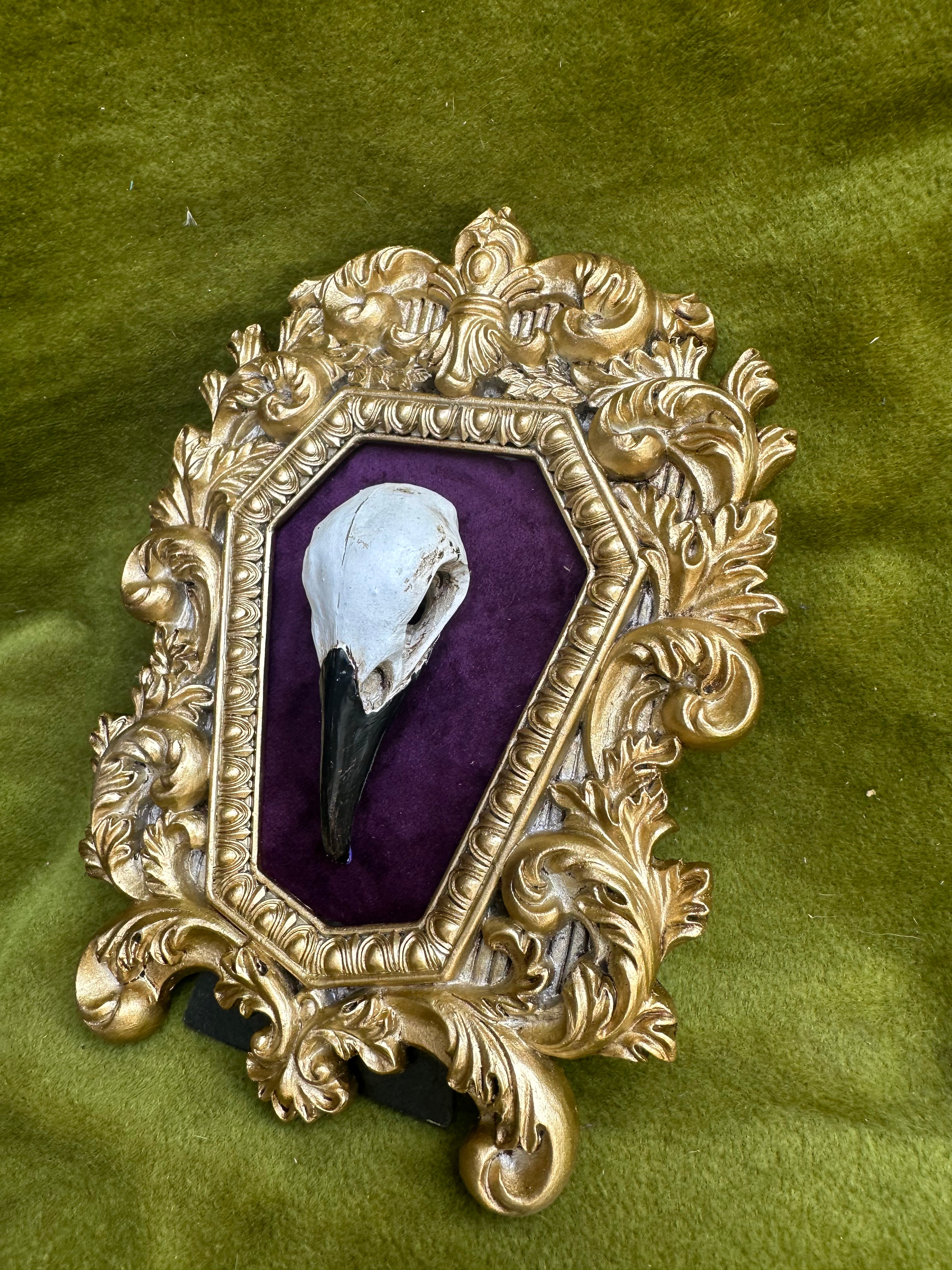 Crow skull cast frame – Tocb-mtl