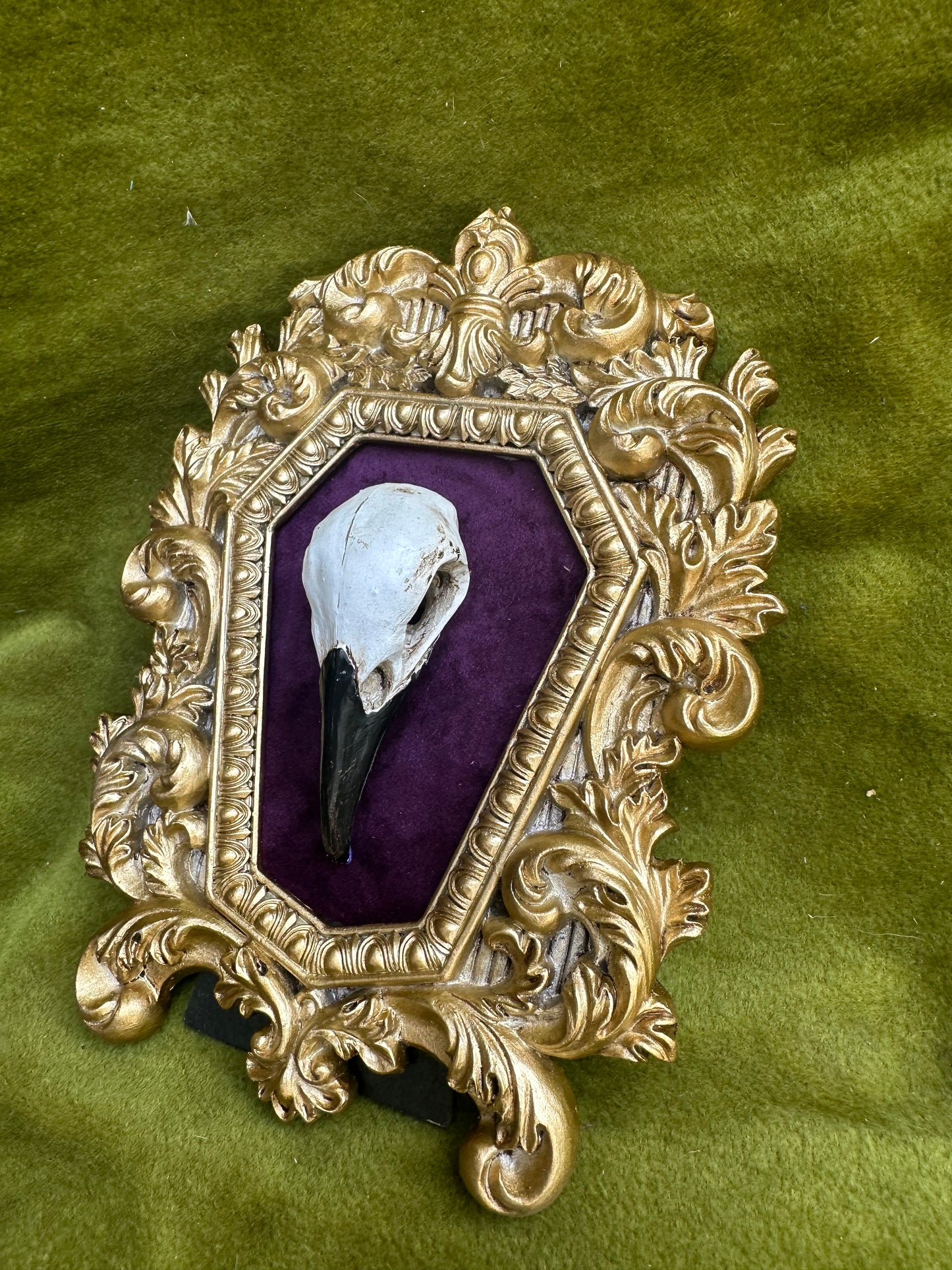 Crow skull cast frame