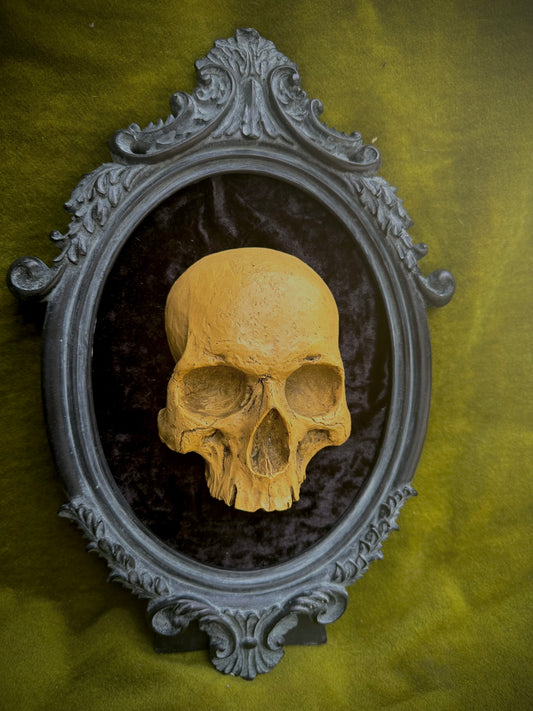 Human skull frame