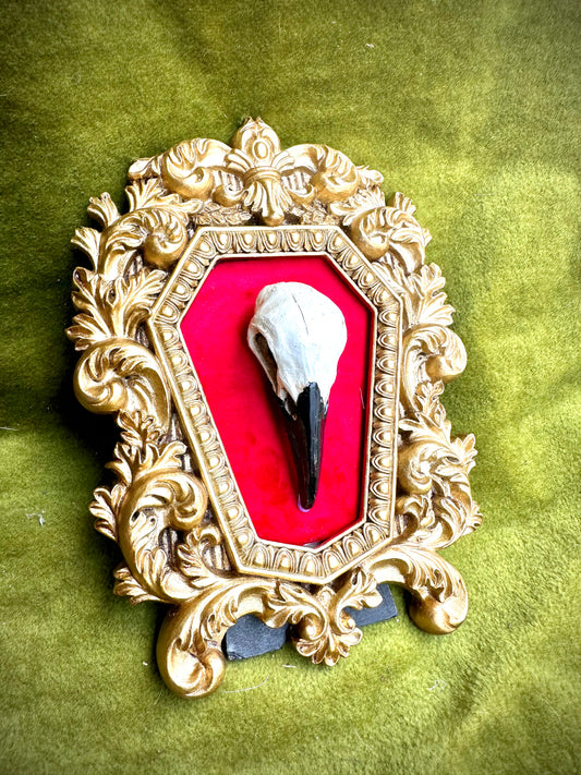 Crow skull cast frame