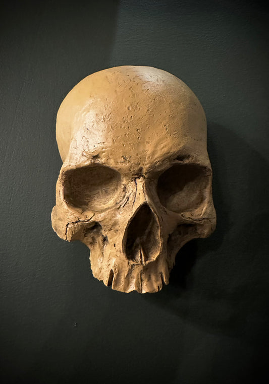 Wall hanging human skull