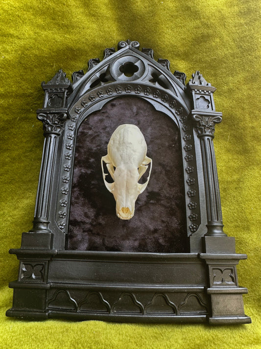 Gothic marten frame
