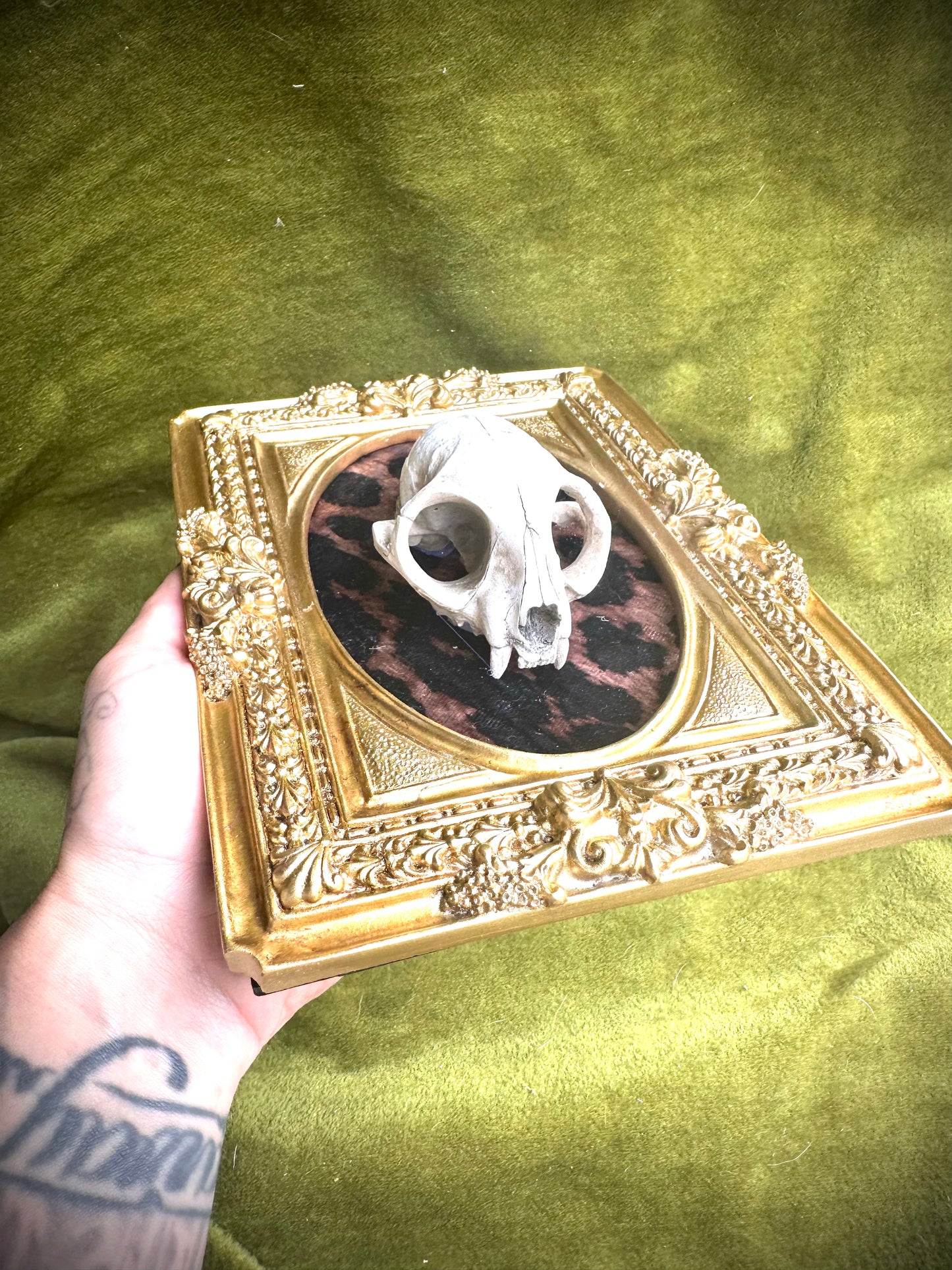 Cat skull cast frame