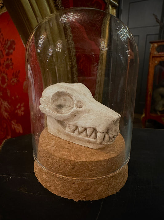 Mini dôme & bat replica skull