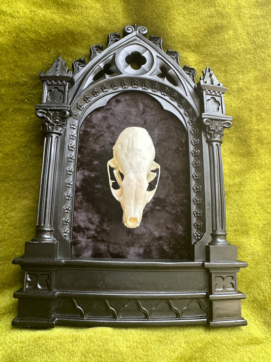 Gothic marten frame