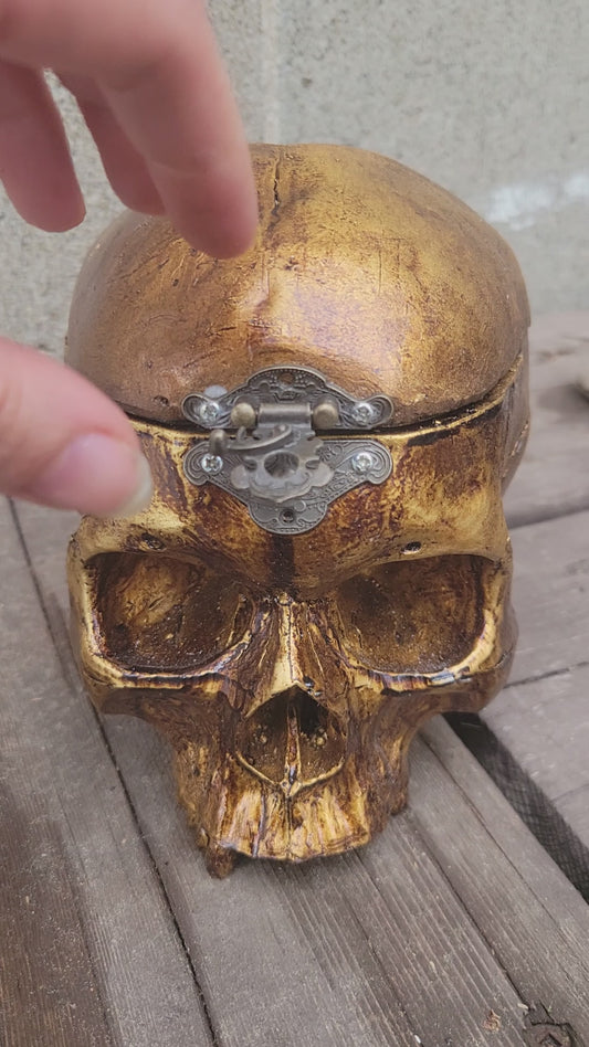 Human Skull box - life size