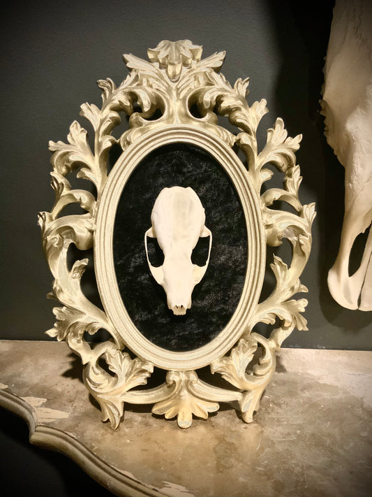 Framed marten skull