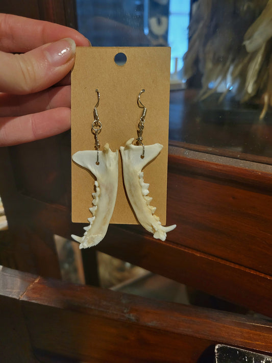 Weasel jaw earrings