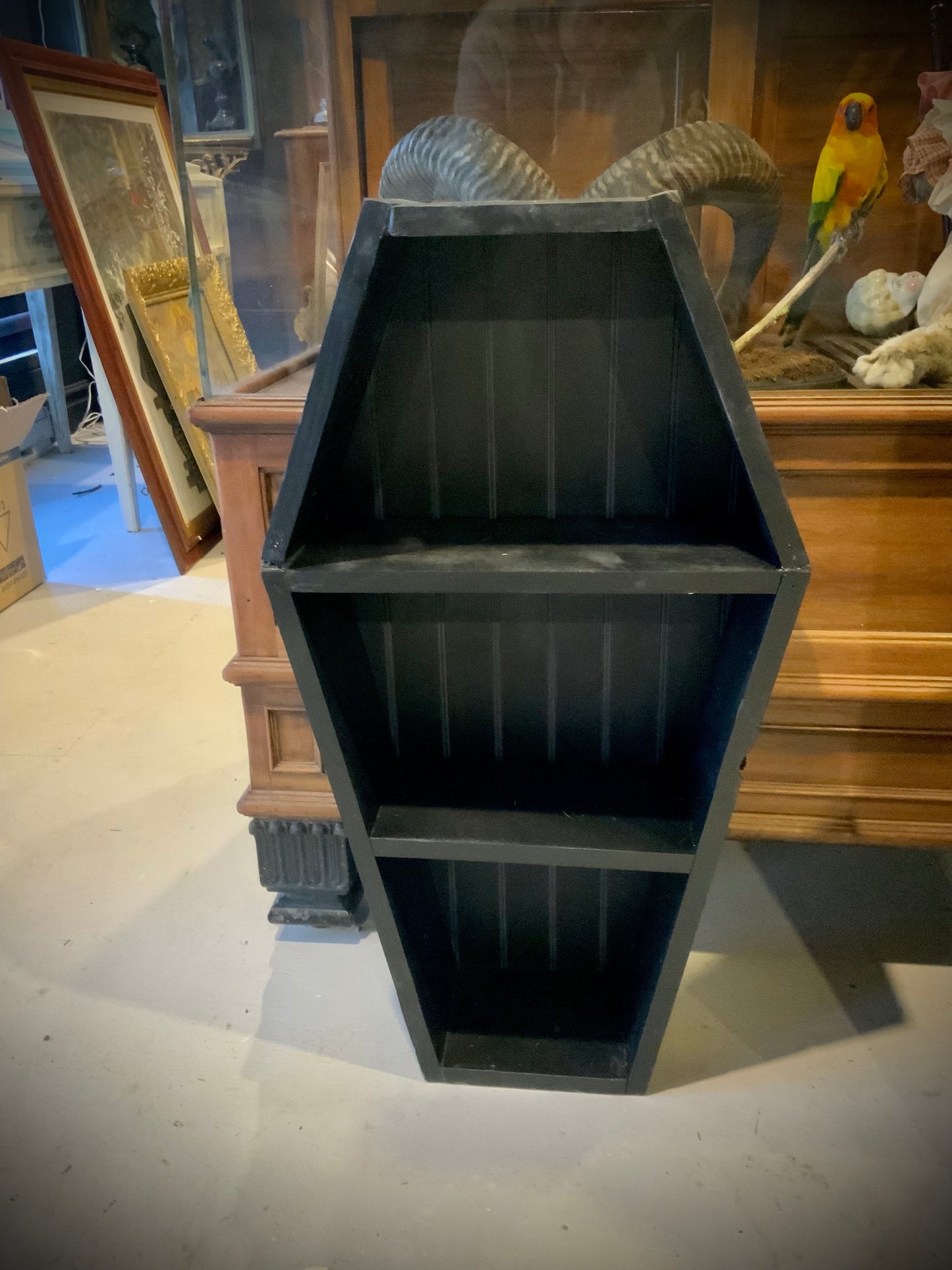 Wood coffin shelf 2feet