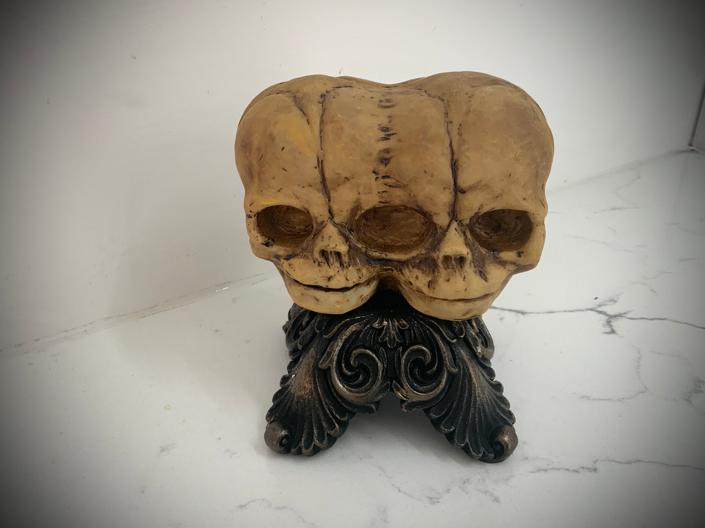 double fetal skull cast replica