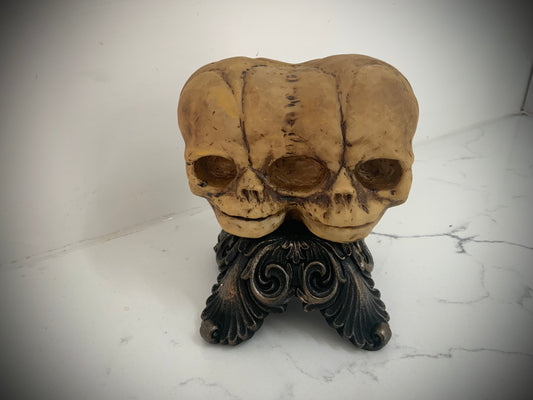 double fetal skull cast replica