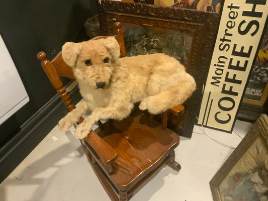 Vintage faux taxidermy dog