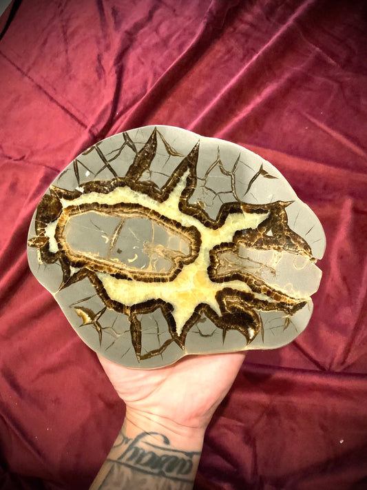 Large Septarian geode