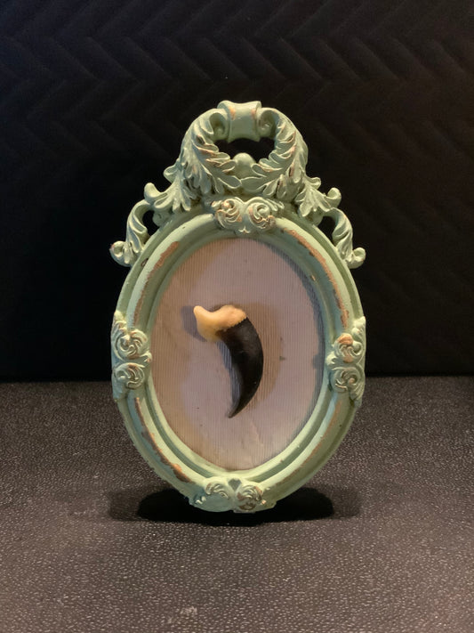 Real framed wolf claw