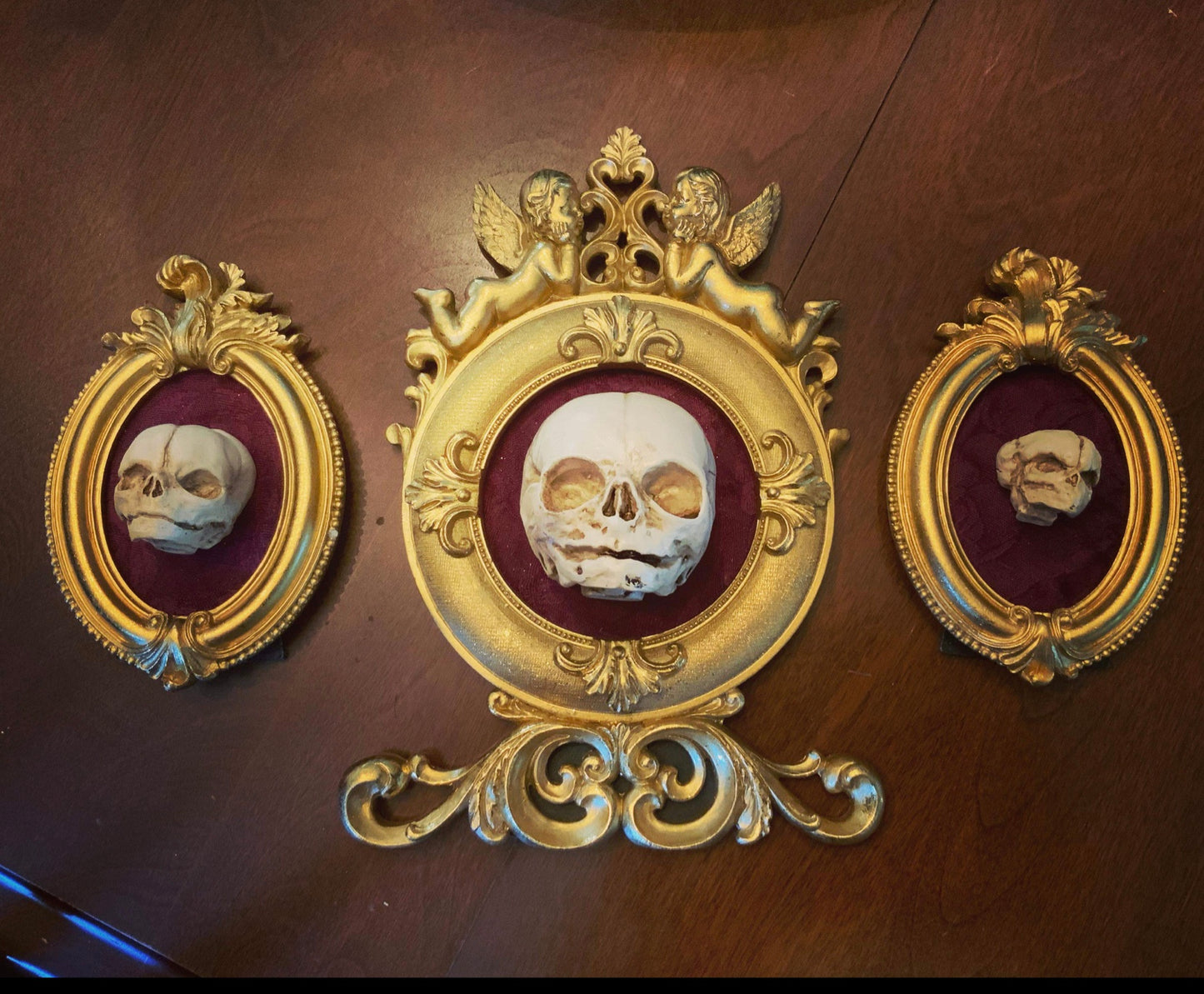 Set of 3 fetal development replica skull frames