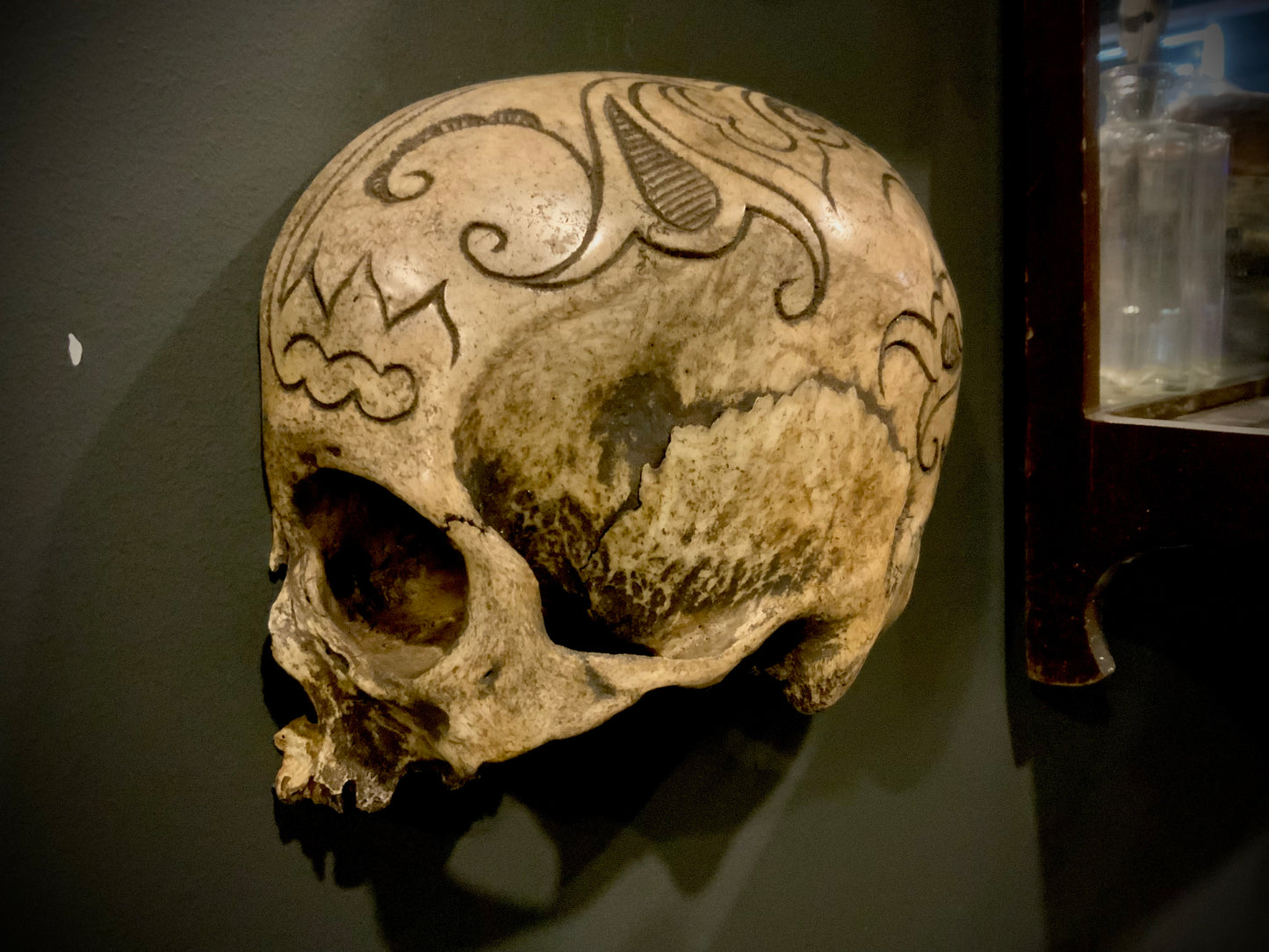 Real dayak human skull