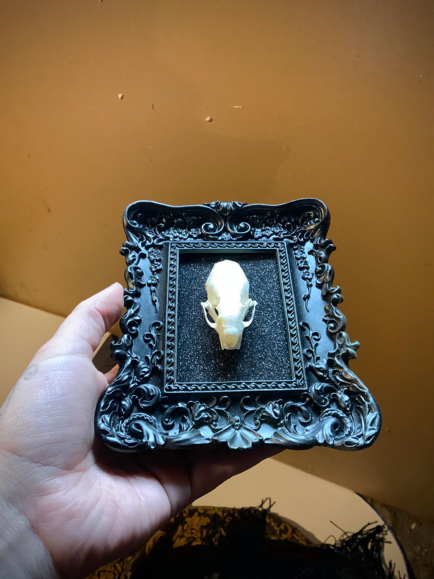 Mink skull in frame