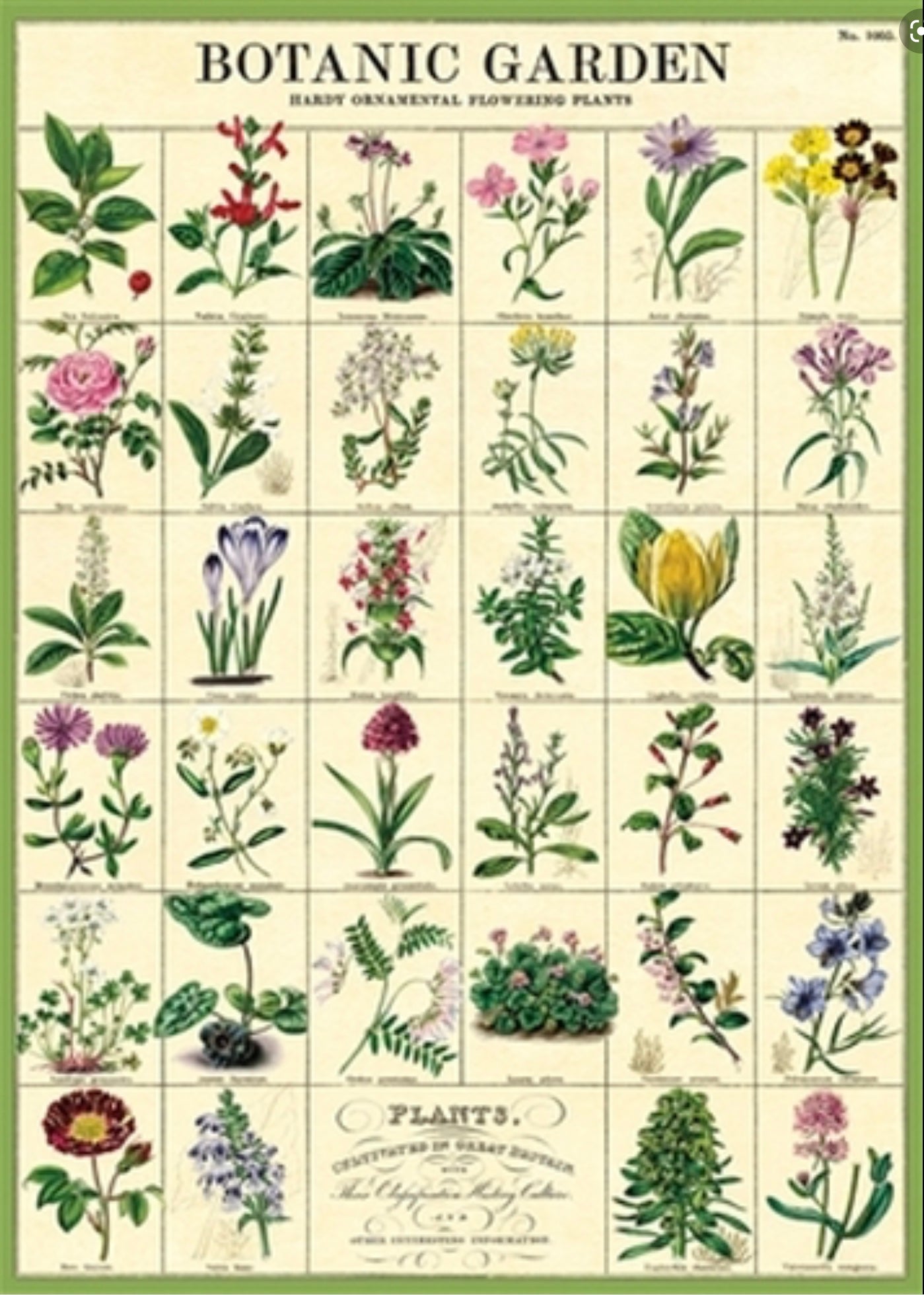 Botanic garden print
