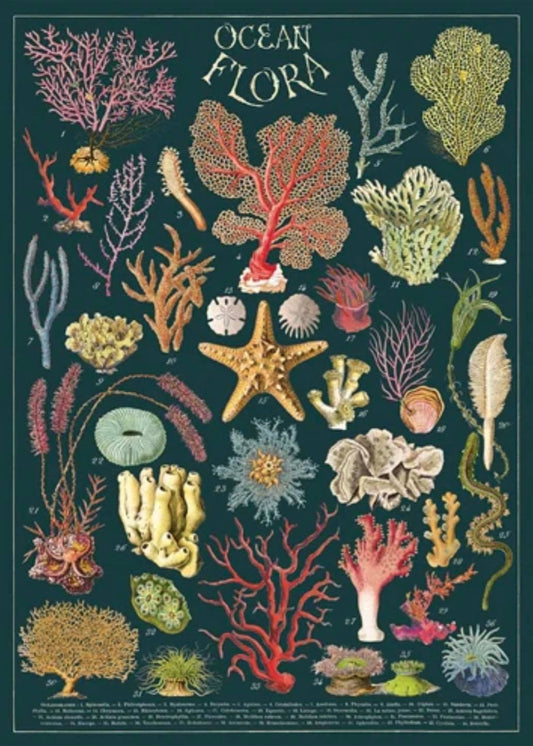 Ocean flora print 19x27