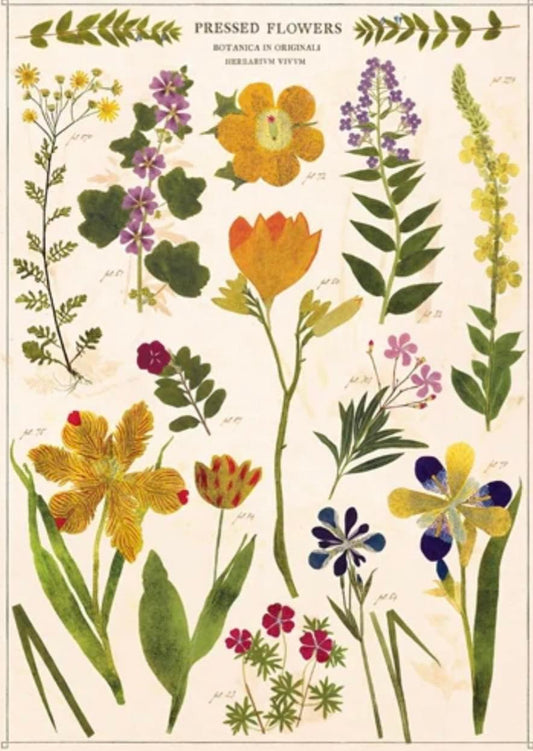 Botanica-pressed flowers print 19x27
