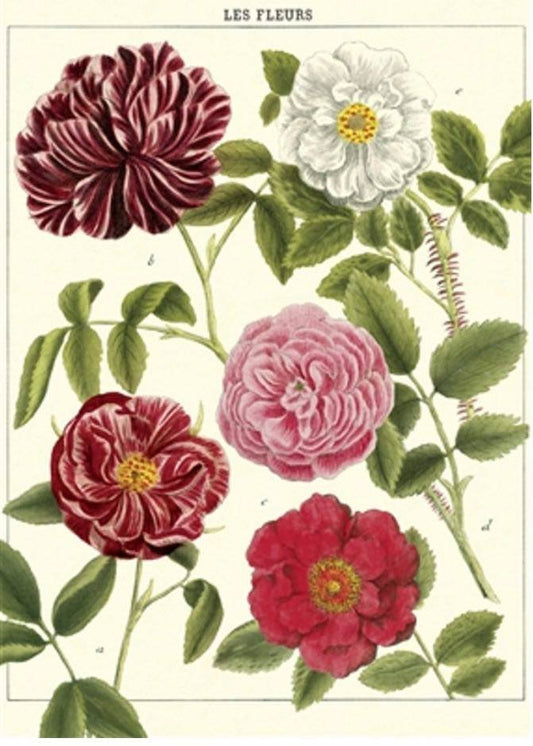 Les fleurs print 19x27